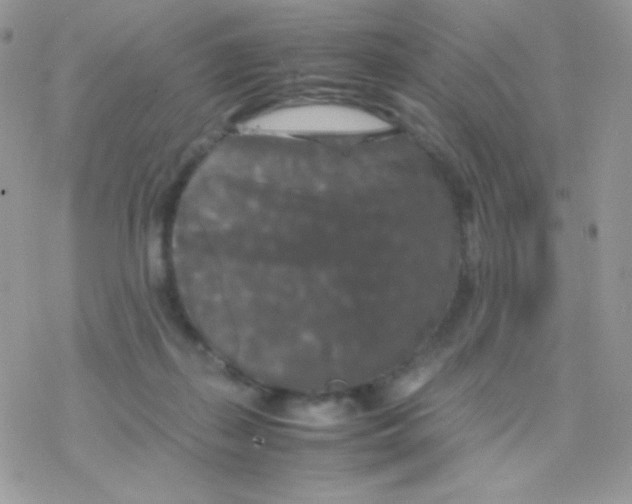 X0000077360267200611171931