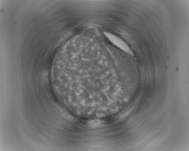 X0000077360269200611171931