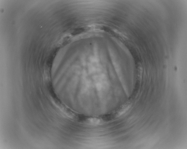 X0000077360272200611171931