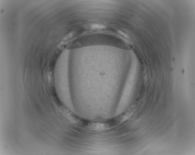 X0000077360276200611171931