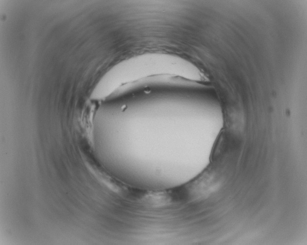 X0000077360280200611171931