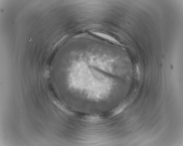 X0000077360284200611171931