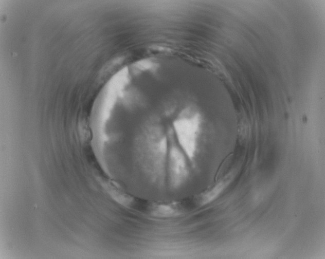 X0000077360285200611171931