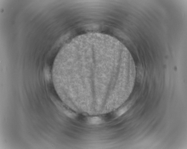 X0000077360287200611171931