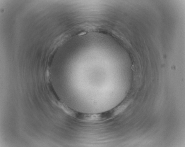 X0000077360288200611171931