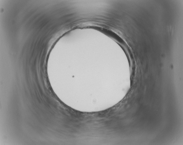 X0000077360289200611171930