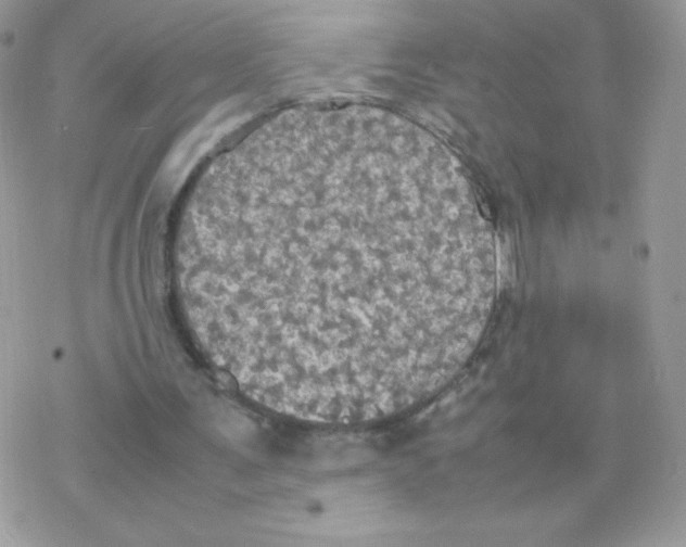 X0000077360291200611171930