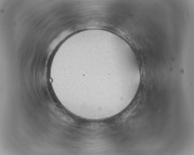 X0000077360292200611171930