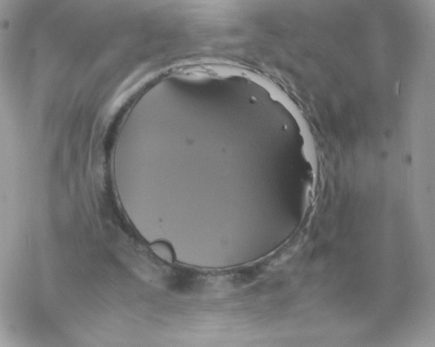 X0000077360295200611171930