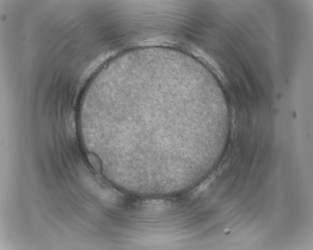 X0000077360298200611171930