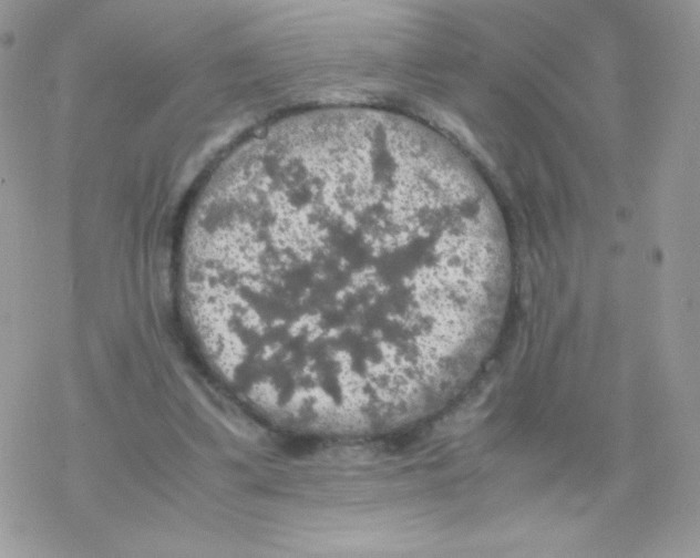 X0000077360299200611171930