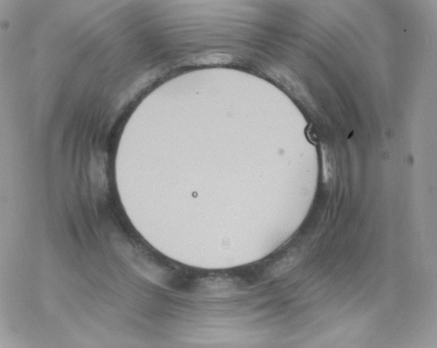 X0000077360300200611171930