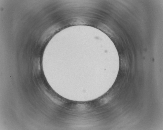 X0000077360302200611171930