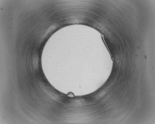 X0000077360304200611171930