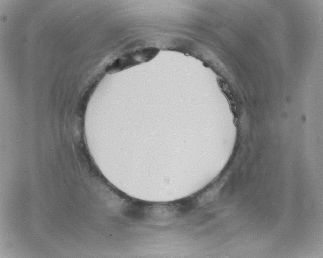 X0000077360305200611171930