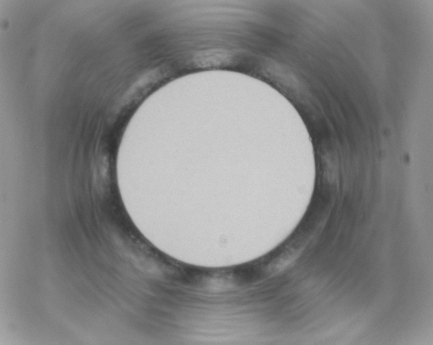 X0000077360308200611171930