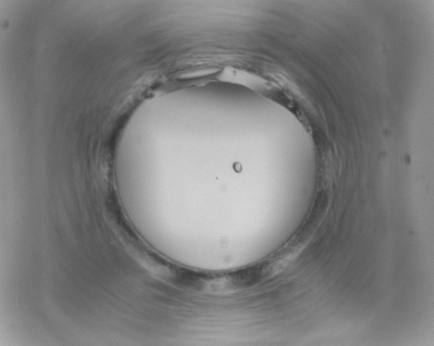 X0000077360309200611171930