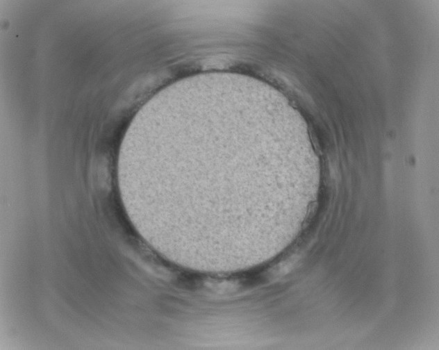 X0000077360311200611171930