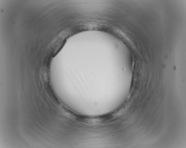 X0000077360313200611171930