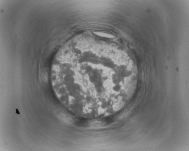 X0000077360315200611171930