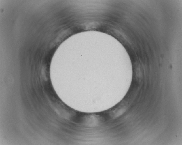 X0000077360316200611171930