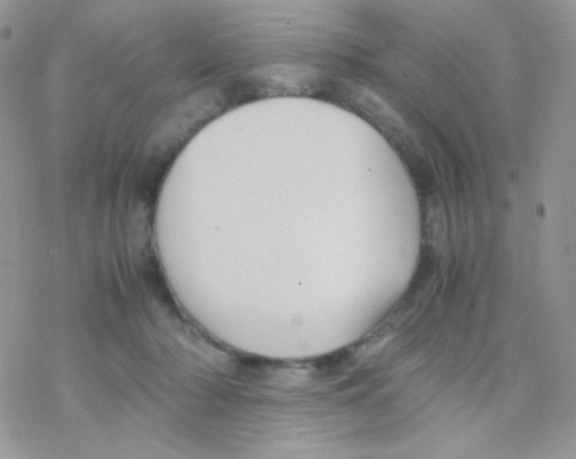 X0000077360318200611171930