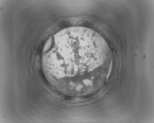 X0000077360319200611171930