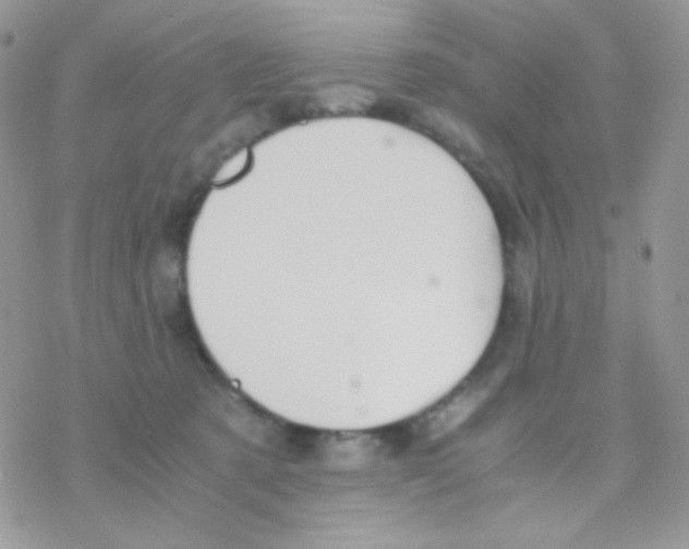 X0000077360321200611171930