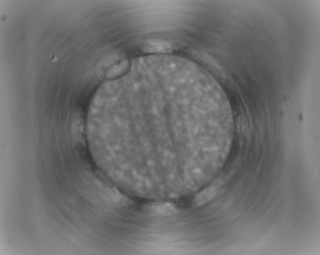 X0000077360322200611171930