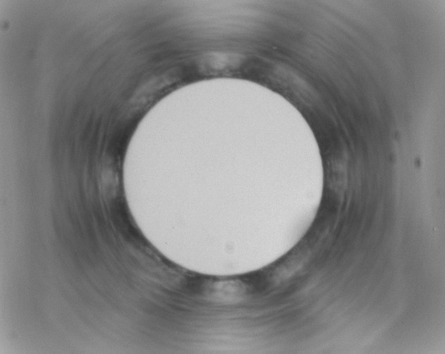 X0000077360324200611171929