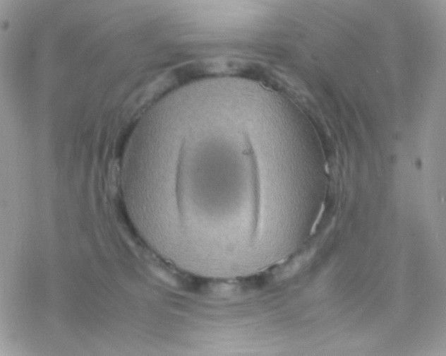 X0000077360325200611171929