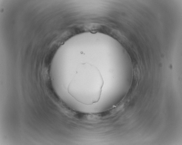 X0000077360327200611171929