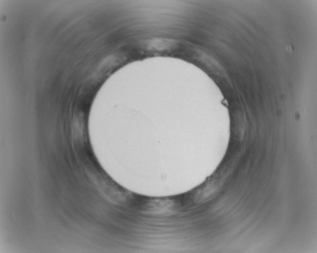 X0000077360328200611171929