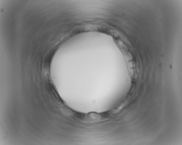 X0000077360329200611171929