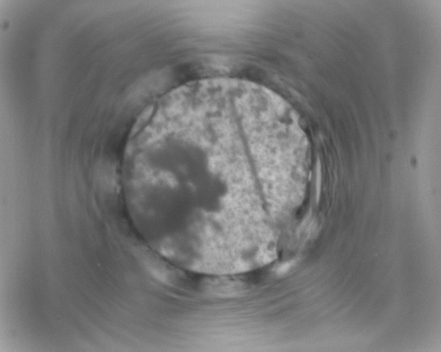 X0000077360331200611171929