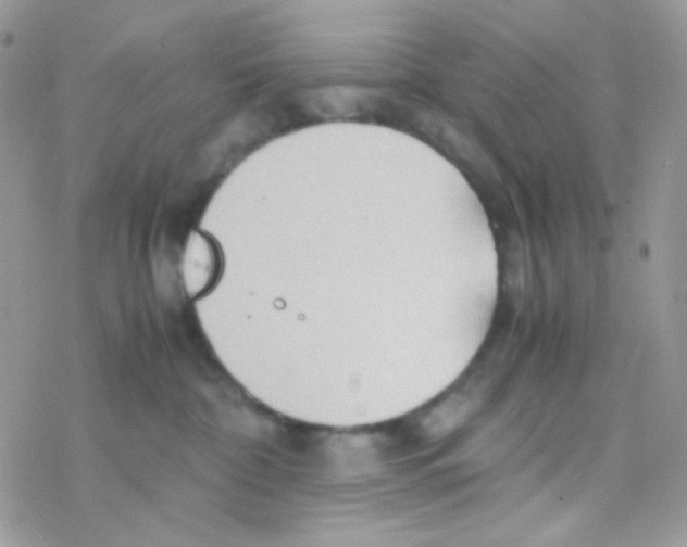 X0000077360332200611171929