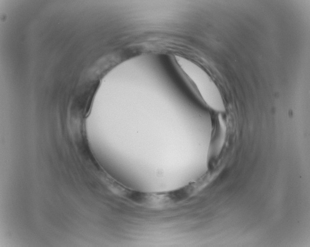 X0000077360333200611171929