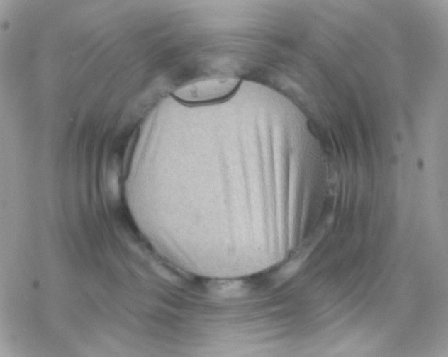 X0000077360334200611171929