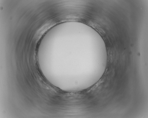 X0000077360338200611171929