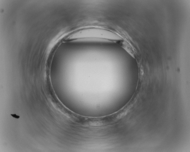 X0000077360344200611171929