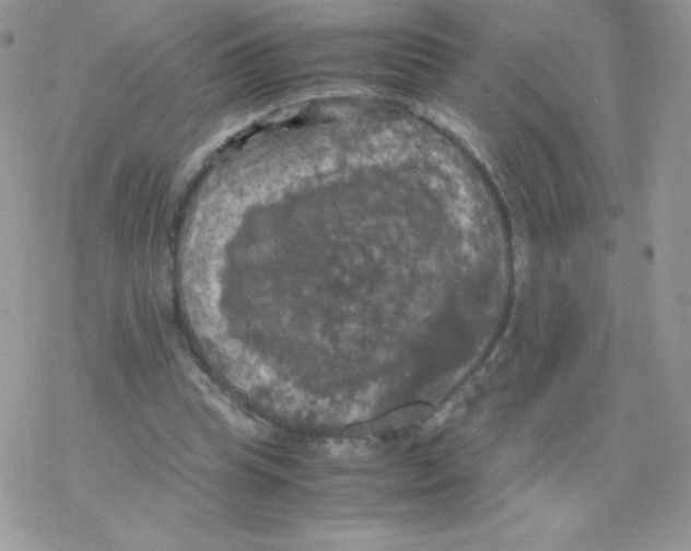 X0000077360345200611171929