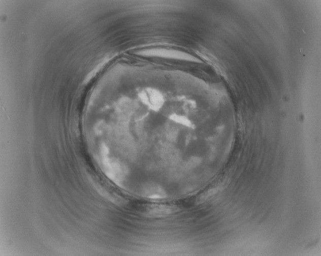 X0000077360347200611171929