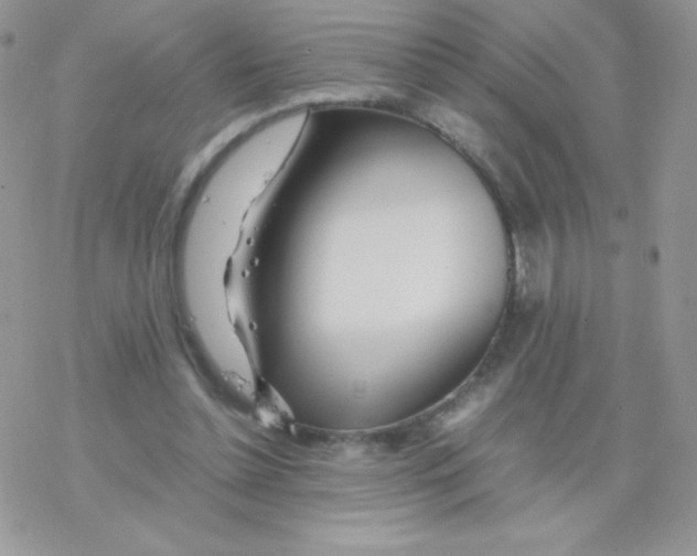 X0000077360348200611171929