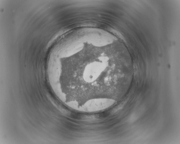 X0000077360349200611171929