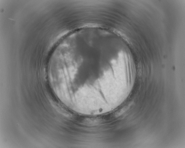 X0000077360351200611171929