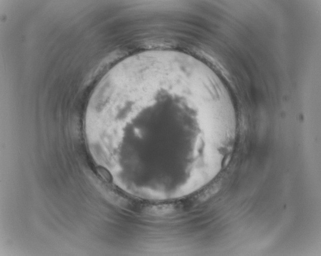 X0000077360353200611171929