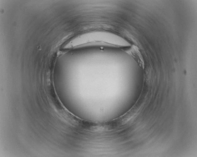 X0000077360356200611171929