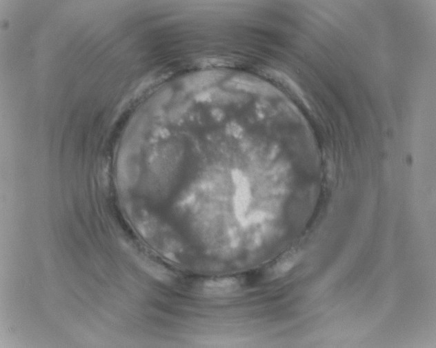 X0000077360357200611171929