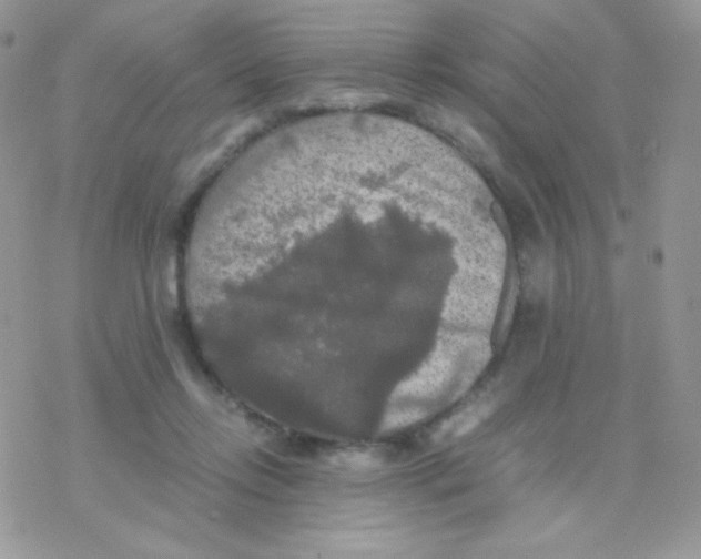 X0000077360358200611171929