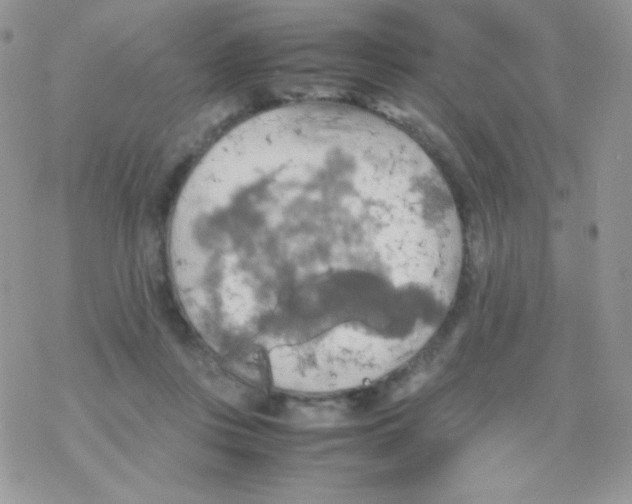 X0000077360359200611171929